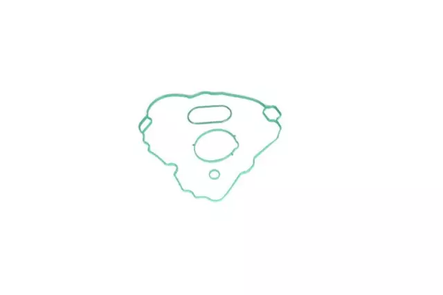 19169262 - Fuel System: Manifold Gasket for GM Image