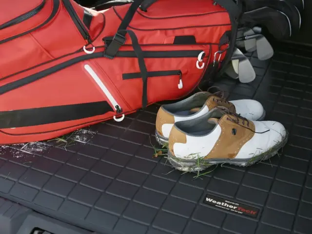 99998401712 - Interior: Weathertech - Cargo Liner for Nissan: ARIYA Image