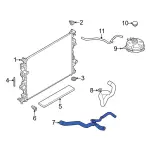 LX6Z8260P - : Upper Hose for Ford Image