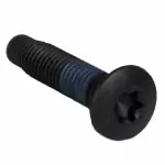 W711379S900 - : 2006-2012 Ford - Striker Screw for Ford: Fusion | Lincoln: MKZ, Zephyr | Mercury: Milan Image