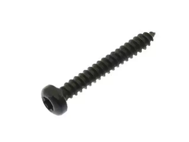 Sun-Visor Screw - Ford (W502564-S424)