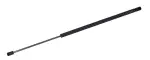 610528 - : Hood Lift Support for Tuff Support Image