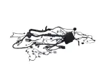 68542417AC - : Headlamp To Dash Wiring for Mopar Image