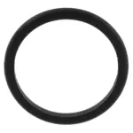 LJ9Z00815B - Suspension: Inner Boot O-Ring for Ford: Mustang Mach-E Image