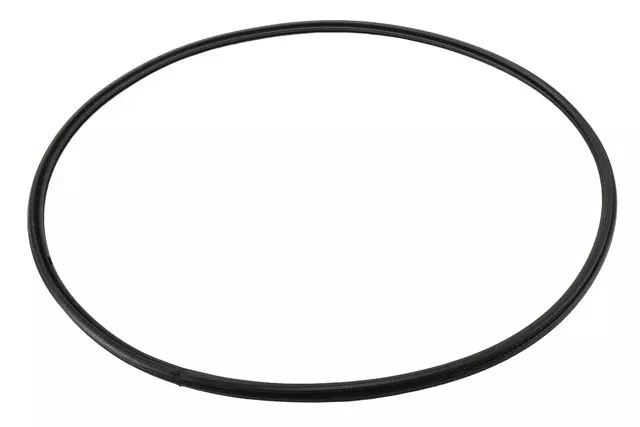 22888212 - : Body Side Front Window Weatherstrip for Chevrolet: Express 1500, Express 2500, Express 3500, P30 | GMC: Savana 1500, Savana 2500, Savana 3500 Image