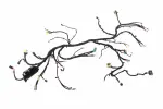 42892179 - : F Harness for GM Image