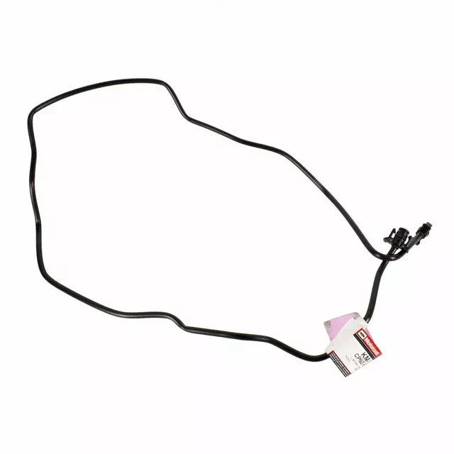 CP9Z8B081B - Cooling System: Drive Motor Inverter Radiator Hose for Ford: Focus Image