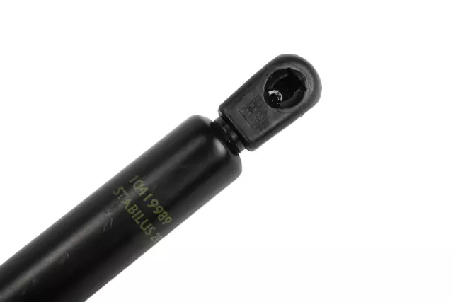 Rear Driver Side Compartment Lift Window Strut - GM (10419989)
