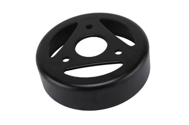 Water Pump Pulley - GM (55491377)
