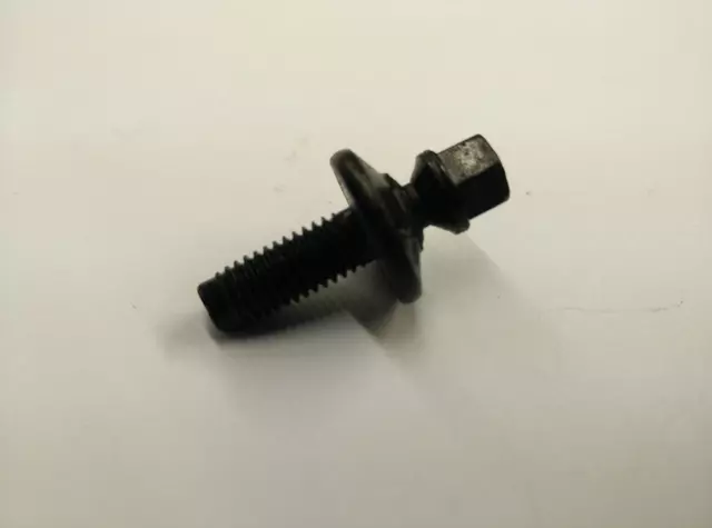 Protector Bolt - Volkswagen (WHT-005-336)