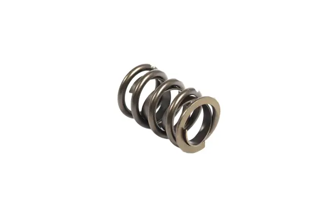 P4876062 - : Valve Spring, Single w/damper for Mopar Image