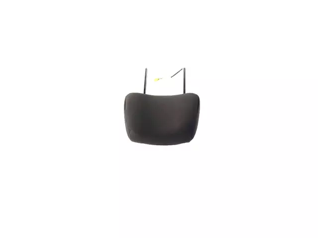 Active Head Restraints Headrest - Mopar (6SL99DX9AA)