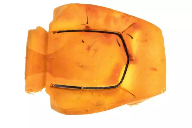 Seat Back Pad - GM (20810970)