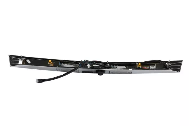 Deck Lid Center Applique with License Plate Lamp - GM (95407980)