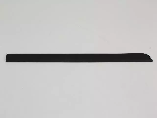 Molding - Mopar (1EX42TZZAB)