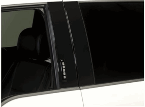 B-Pillar Trim, Black Platinum Stainless Steel - Ford (VFL3Z-9920554-A)