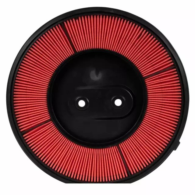 QFA108 - : Element Assembly Air Cleaner for Ford Image