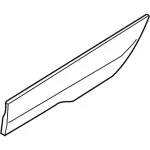 DT1Z6129076CC - : Body Side Molding for Ford: Transit Connect Image