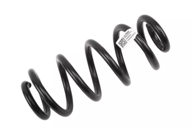 Rear Coil Spring - GM (84237940)