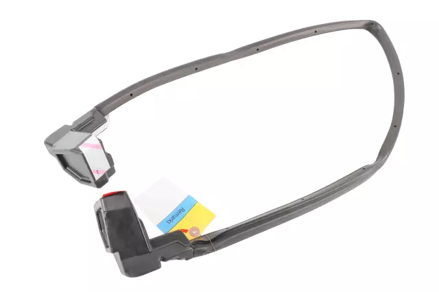 42453384 - Body: Rear Weather-strip for GM Image