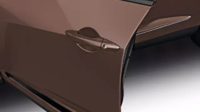 8P20TJB2F0 - : Door Guard *Yr 632M* for Acura Image