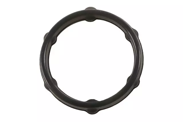 55505887 - : Engine Oil Cooler Seal for Buick: Envision Image