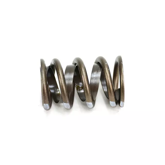 Valve Spring - Mopar (P4876062)