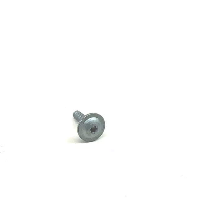 Fog Lamp Assembly Screw - Audi (8H0-807-199-A)