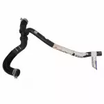 7R3Z8286C - Cooling System: Lower Hose for FORD Image