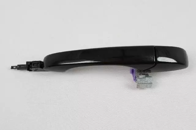 Exterior Door Handle, Right - Mopar (1MW30AXRAE)