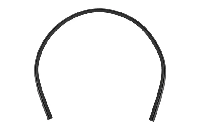 Rear Weather-Strip - GM (25865605)