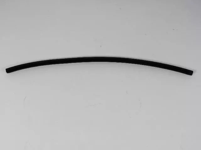 Door Window Belt Weatherstrip - Mopar (04724303)