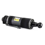 SK2415 - : Arnott Suspension Strut for Arnott Image
