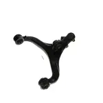 9490484 - : Control Arm w/Joint for BRUTE POWER Image