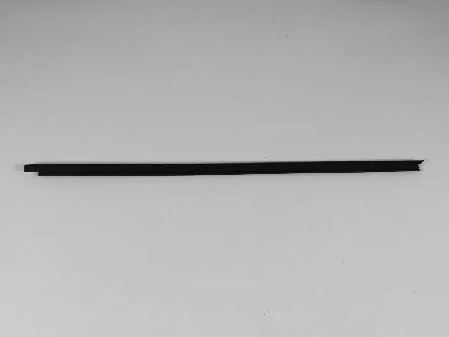55369293AG - : Front Door Belt Outer Weatherstrip, Left for Dodge: Ram 1500, Ram 2500, Ram 3500 | Ram: 1500, 1500 Classic, 2500, 3500 Image