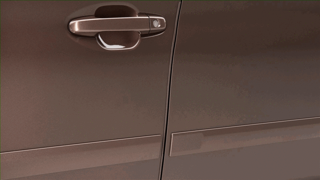 OEM NEW 2019-2020 Subaru Ascent Abyss Blue Pearl Door Edge Guard SOA801P040G6 - Subaru (SOA801P040G6)