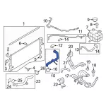 MB3Z8260N - : Upper Hose for Ford: Bronco, Ranger Image