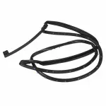 AG1Z5425324A - Body: Door Weather-strip for Ford: Police Interceptor Sedan, Special Service Police Sedan, Taurus Image