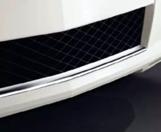 2048852421 - : Chrome Strip For Front Spoiler for Mercedes-Benz Image