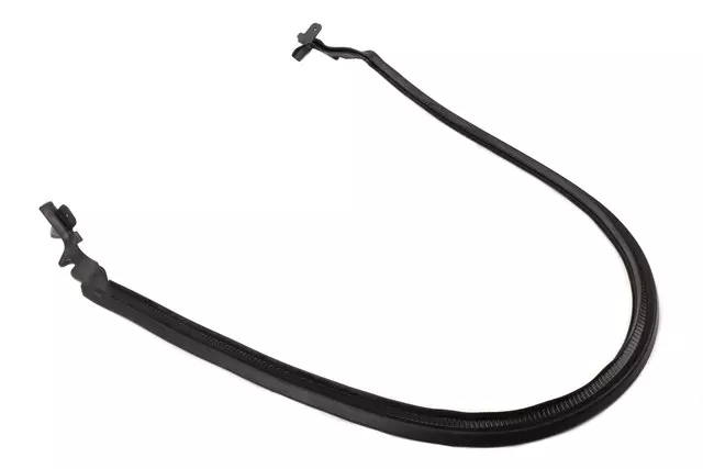 15879581 - Body: Rear Weather-strip for Buick: LaCrosse Image