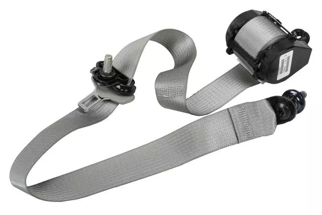 19355566 - Electrical: Outer Belt Assembly for Buick: Enclave | Chevrolet: Traverse | GMC: Acadia, Acadia Limited | Saturn: Outlook Image