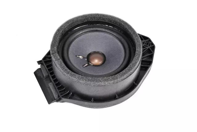 Rear Side Door Speaker - GM (84190241)