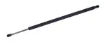 610786 - : Liftgate Lift Support for Tuff Support Image