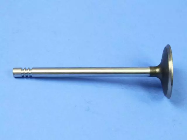 Intake Valve, Right Cylinder Head - Mopar (4663899)