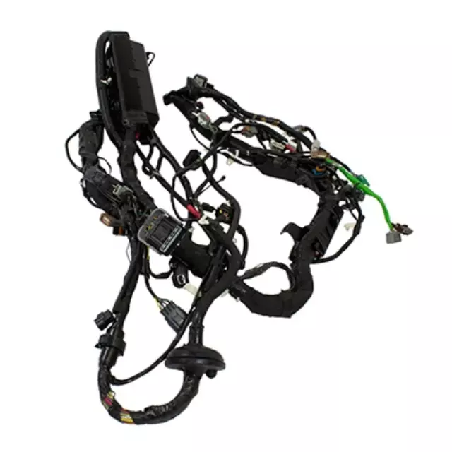 Wire Assembly - Ford (DL3Z-12A581-CJB)