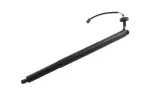 42807259 - : Lift Cylinder for GM Image
