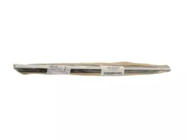 Belt Weather-Strip - Ford (YW1Z-5421453-AB)