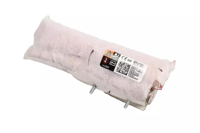 42620175 - : Part# 42620175 F Airbag for Chevrolet: Bolt EV Image