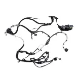 N2DZ14405R - : Wiring Assembly Rear Lamps for Ford Image