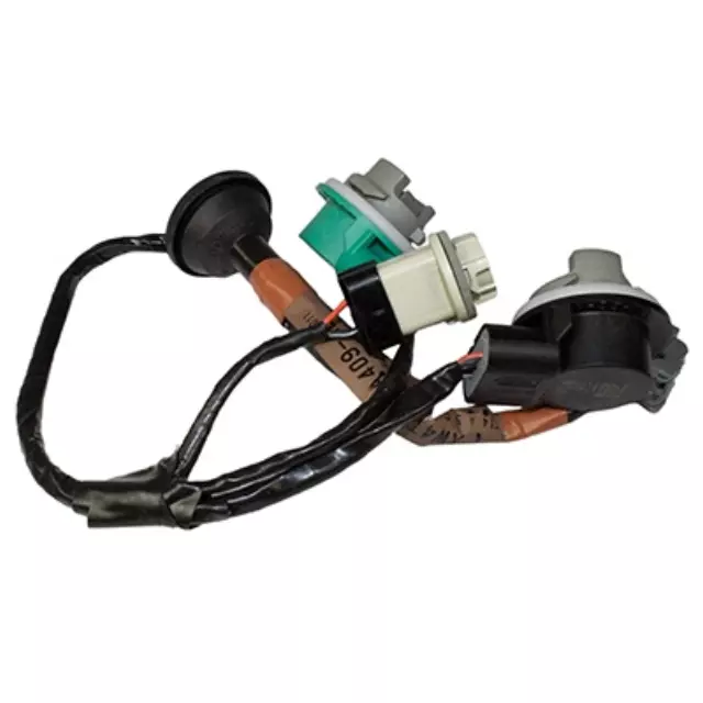 Socket & Wire - Ford (XW4Z-13410-AA)
